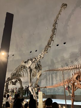 福井県立恐竜博物館に投稿された画像（2025/5/5）