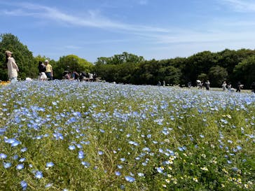 万博記念公園に投稿された画像（2025/5/6）