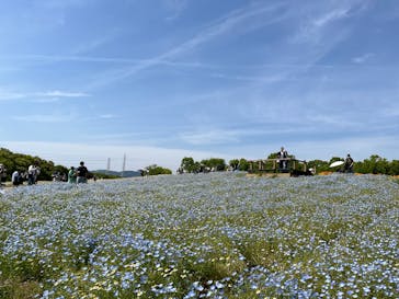 万博記念公園に投稿された画像（2025/5/6）