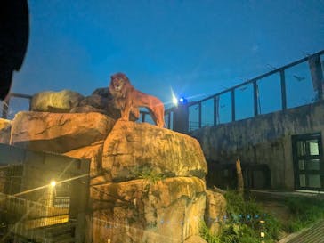 沖縄こどもの国に投稿された画像（2025/5/6）