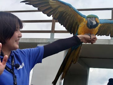 那須どうぶつ王国に投稿された画像（2025/5/6）
