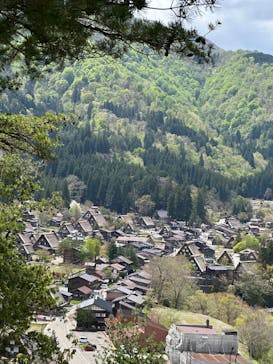 ホワイトリングに投稿された画像（2025/5/6）