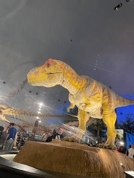 福井県立恐竜博物館に投稿された画像（2025/5/6）