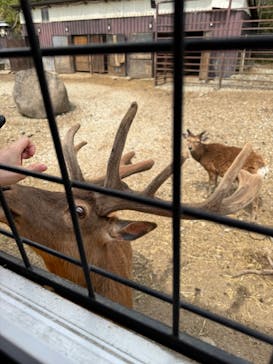 那須サファリパークに投稿された画像（2025/5/6）