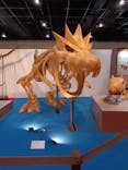 福井県立恐竜博物館に投稿された画像（2025/5/6）