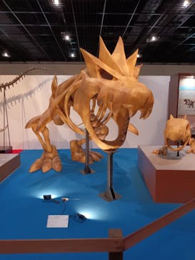 福井県立恐竜博物館に投稿された画像（2025/5/6）