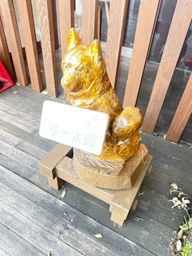 モダン湯治 おんりーゆーに投稿された画像（2025/5/6）