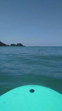 ホワイトウイングに投稿された画像（2025/5/6）