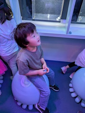 伊豆・三津シーパラダイスに投稿された画像（2025/5/6）