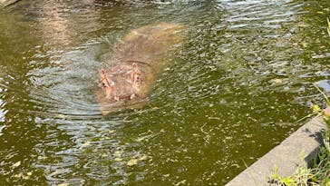 日立市かみね動物園に投稿された画像（2025/5/6）