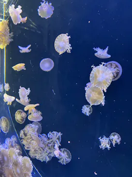 仙台うみの杜水族館に投稿された画像（2025/5/6）
