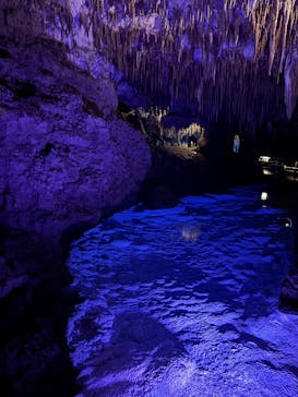 おきなわワールドに投稿された画像（2025/5/6）