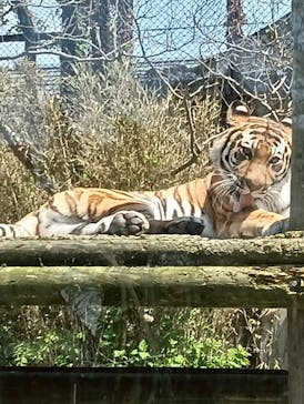 秋田市大森山動物園に投稿された画像（2025/5/6）