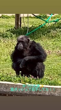 秋田市大森山動物園に投稿された画像（2025/5/6）