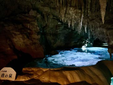 おきなわワールドに投稿された画像（2025/5/6）