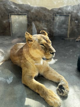 日立市かみね動物園に投稿された画像（2025/5/6）