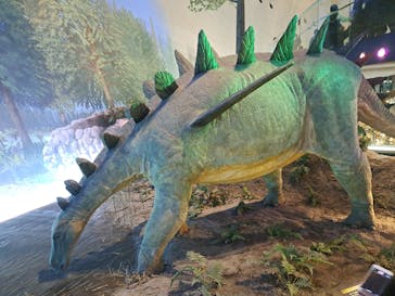 福井県立恐竜博物館に投稿された画像（2025/5/6）