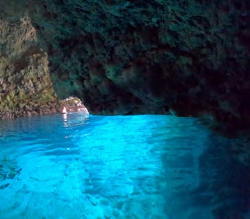 武藤潜水に投稿された画像（2025/5/6）