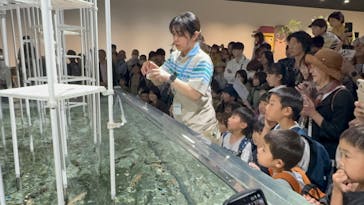 NIFREL（ニフレル）に投稿された画像（2025/5/6）