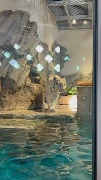 NIFREL（ニフレル）に投稿された画像（2025/5/6）