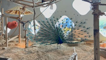 NIFREL（ニフレル）に投稿された画像（2025/5/6）