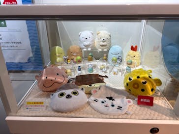 NIFREL（ニフレル）に投稿された画像（2025/5/6）