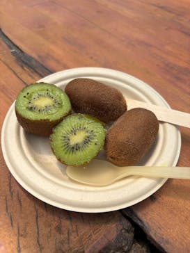 キウイフルーツカントリーJapan（キウイフルーツカントリージャパン）に投稿された画像（2025/5/6）