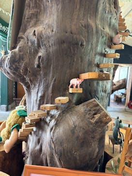 キウイフルーツカントリーJapan（キウイフルーツカントリージャパン）に投稿された画像（2025/5/6）