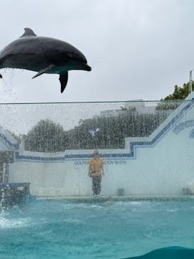 しながわ水族館に投稿された画像（2025/5/6）