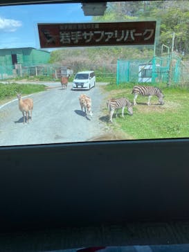 岩手サファリパークに投稿された画像（2025/5/6）