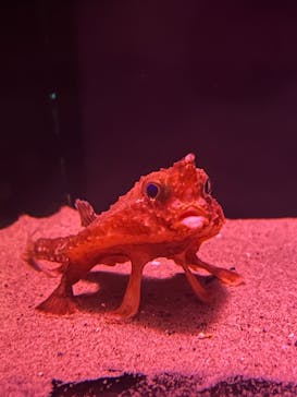 名古屋港水族館に投稿された画像（2025/5/6）