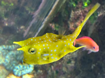 名古屋港水族館に投稿された画像（2025/5/6）