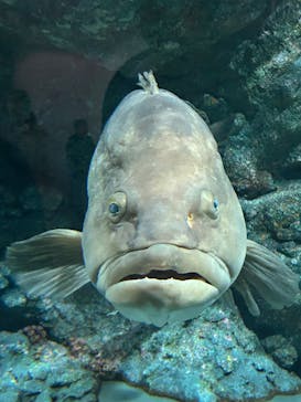 名古屋港水族館に投稿された画像（2025/5/6）