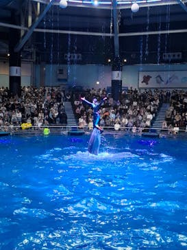 マクセル アクアパーク品川に投稿された画像（2025/5/6）