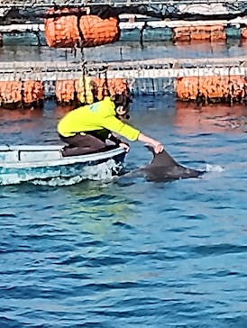 あわしまマリンパークに投稿された画像（2025/5/6）