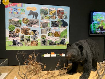  うんち展　-No UNCHI, No LIFE-に投稿された画像（2025/5/6）