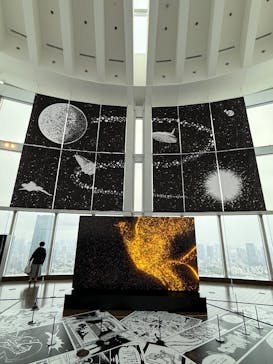 手塚治虫「火の鳥」展－火の鳥は、エントロピー増大と抗う動的平衡＝宇宙生命の象徴－に投稿された画像（2025/5/6）