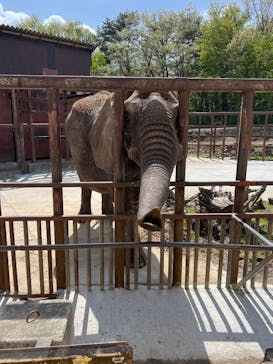 東北サファリパークに投稿された画像（2025/5/6）