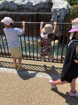 ひらかたパークに投稿された画像（2025/5/6）