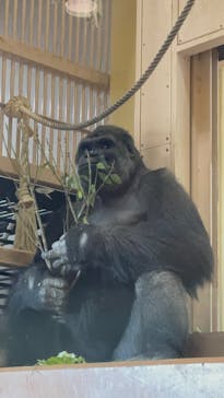 名古屋市東山動植物園に投稿された画像（2025/5/6）