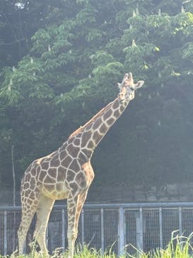 名古屋市東山動植物園に投稿された画像（2025/5/6）