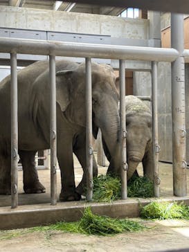 名古屋市東山動植物園に投稿された画像（2025/5/6）