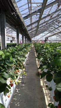 お陽様農園に投稿された画像（2025/5/6）