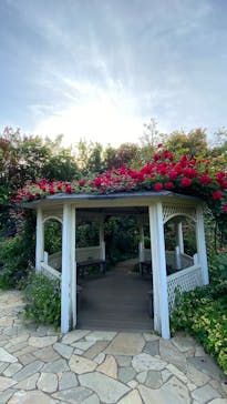 横浜イングリッシュガーデンに投稿された画像（2025/5/6）