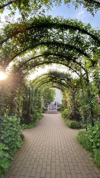 横浜イングリッシュガーデンに投稿された画像（2025/5/6）