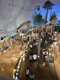 福井県立恐竜博物館に投稿された画像（2025/5/6）