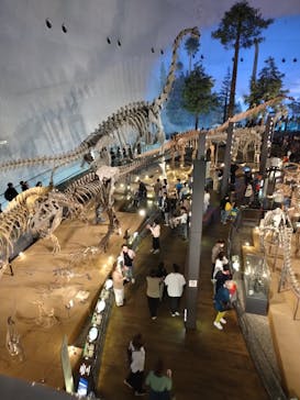 福井県立恐竜博物館に投稿された画像（2025/5/6）