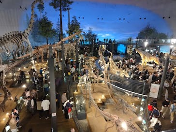 福井県立恐竜博物館に投稿された画像（2025/5/6）