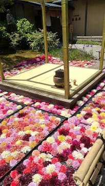 日本庭園　由志園に投稿された画像（2025/5/6）