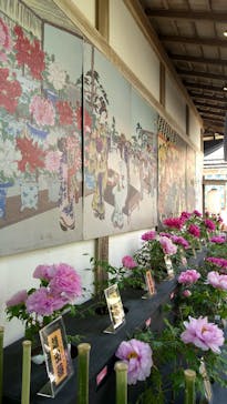 日本庭園　由志園に投稿された画像（2025/5/6）